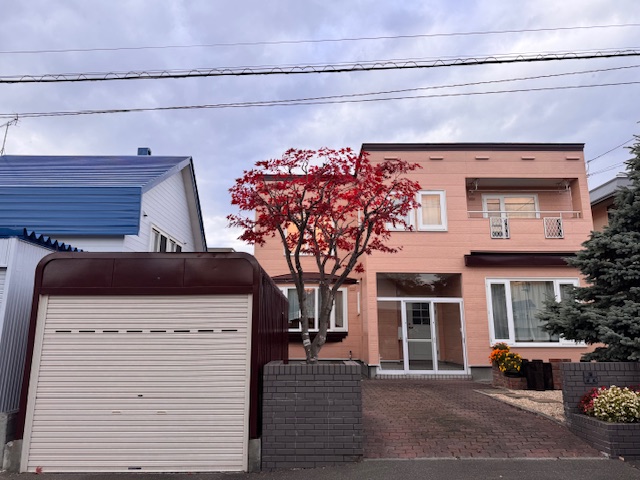 剪定後　もみじ