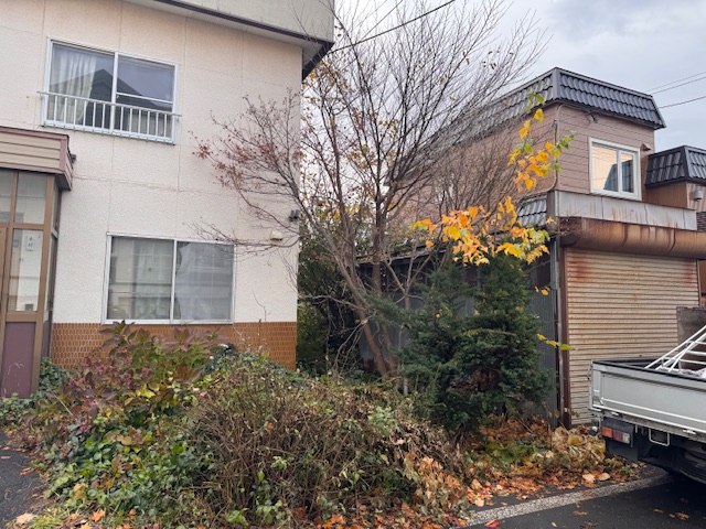 作業前　イチイ・モミジ・雑木伐採など