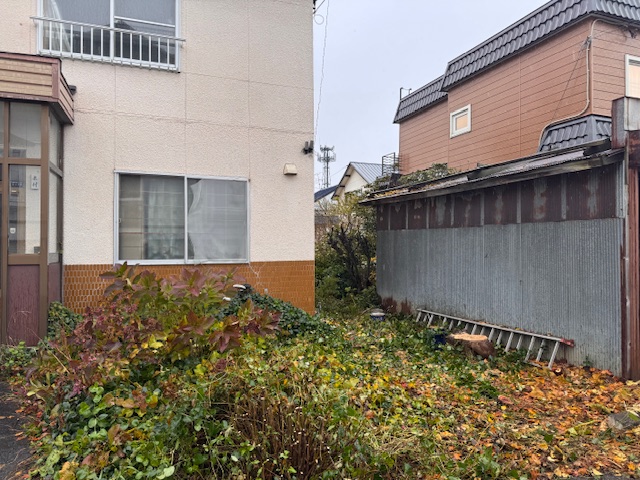 作業後　イチイ・モミジ・雑木伐採など