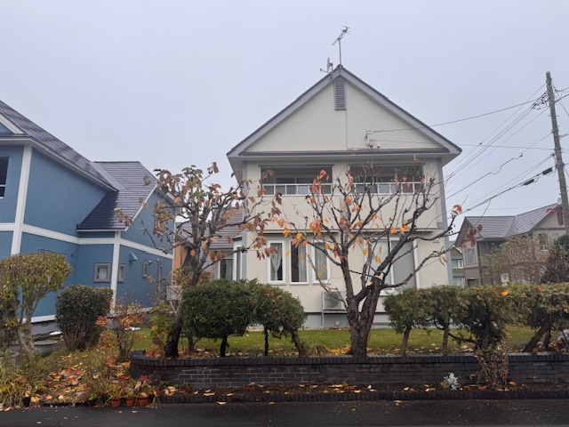 剪定後 黄モクレン・桜