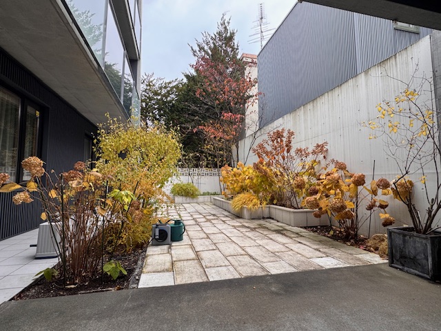 剪定前　庭木全体