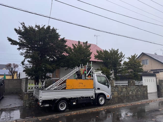 作業前 イチイ伐採など