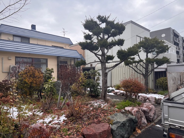 剪定前　イチイ・低木類