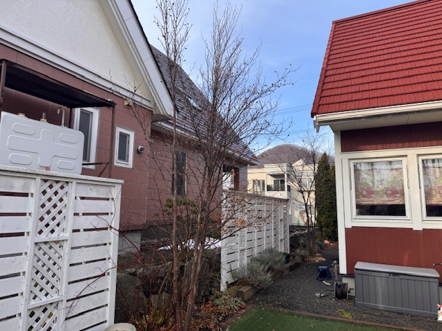 剪定前　夏ツバキ・ヤマボウシ