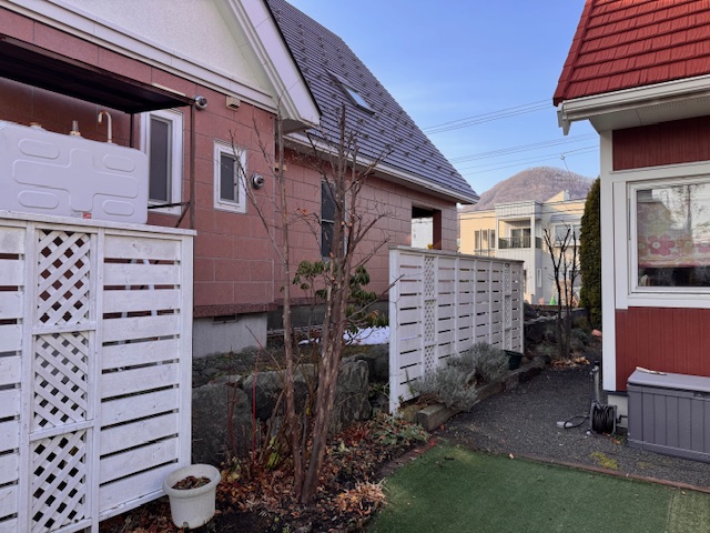 剪定後　夏ツバキ・ヤマボウシ