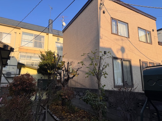 剪定後　サクランボ・ライラック