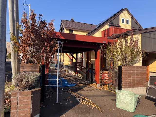 剪定前 ヤマボウシ・梅