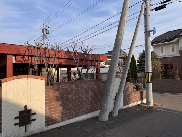 剪定後 ジューンベリー・グミの木