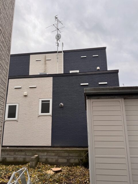 伐採後 グミの木