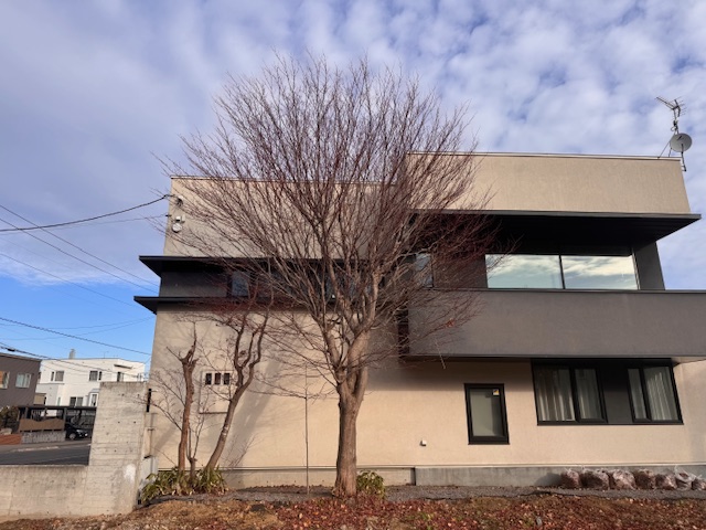 剪定前　野村モミジ