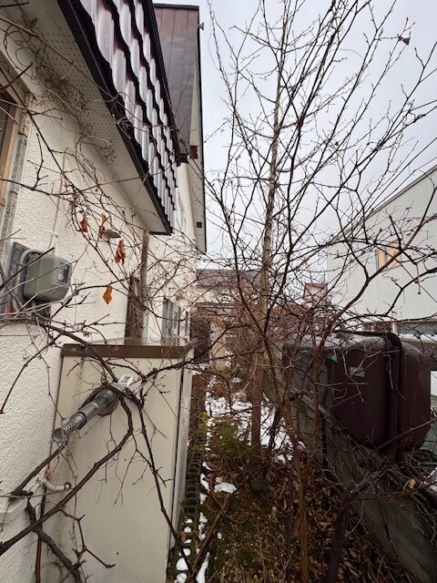 ⑤北側の足場を組む場所の確保　前