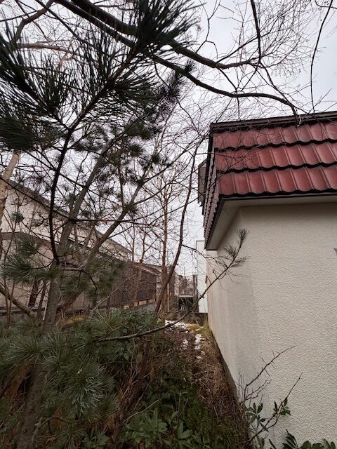 ④西（裏庭）側の足場を組む場所の確保　前