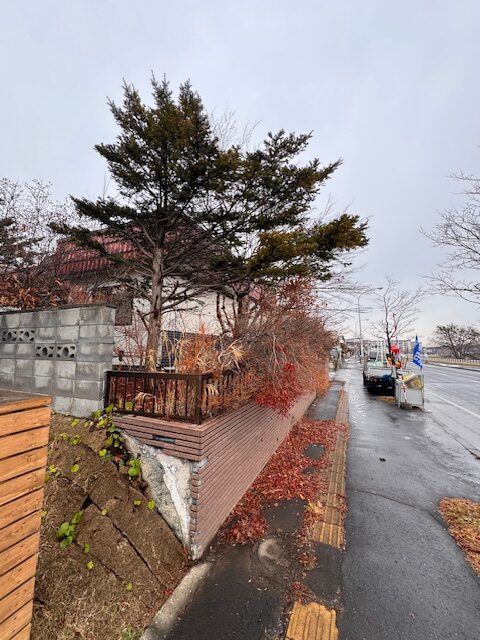 ①玄関側の歩道へ越境した枝払い　前