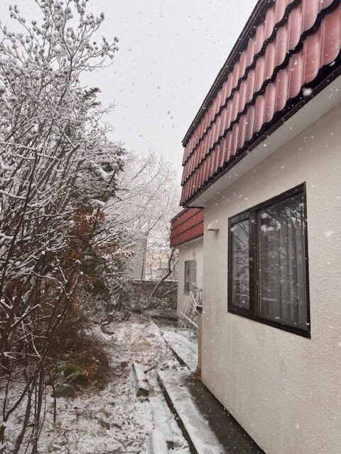 ③南側の足場を組む場所の確保　後