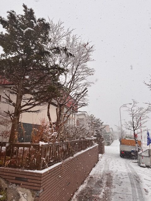 ①玄関側の歩道へ越境した枝払い　後