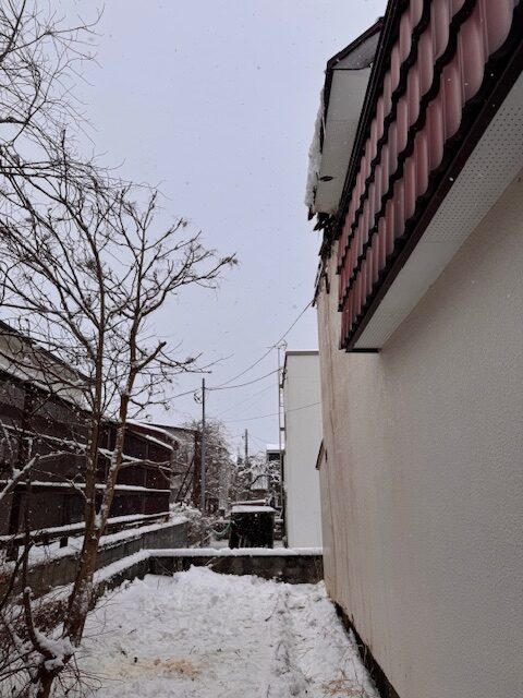 ④西（裏庭）側の足場を組む場所の確保　後