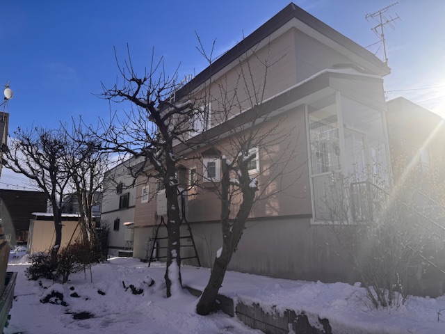 剪定前 サクランボ2本