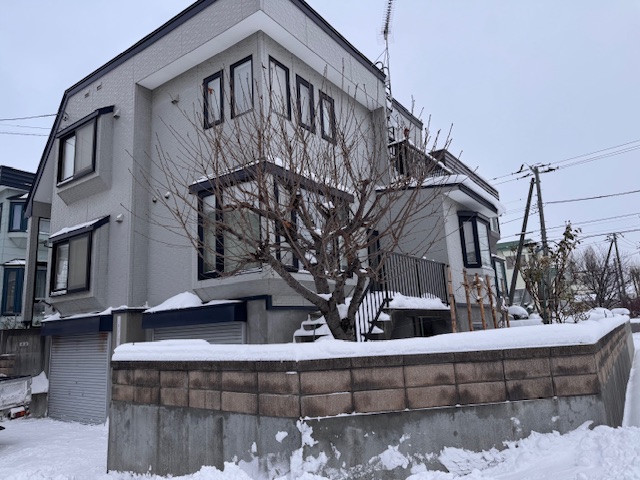 剪定前　サクランボ