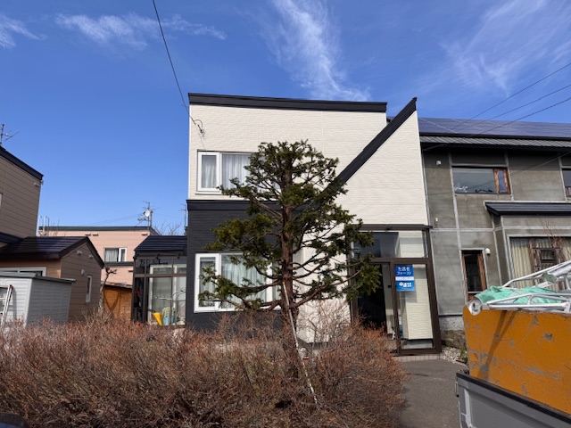 剪定前　イチイ（オンコ）