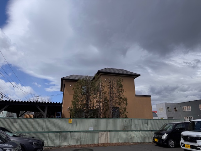 剪定後 ヒバ3本