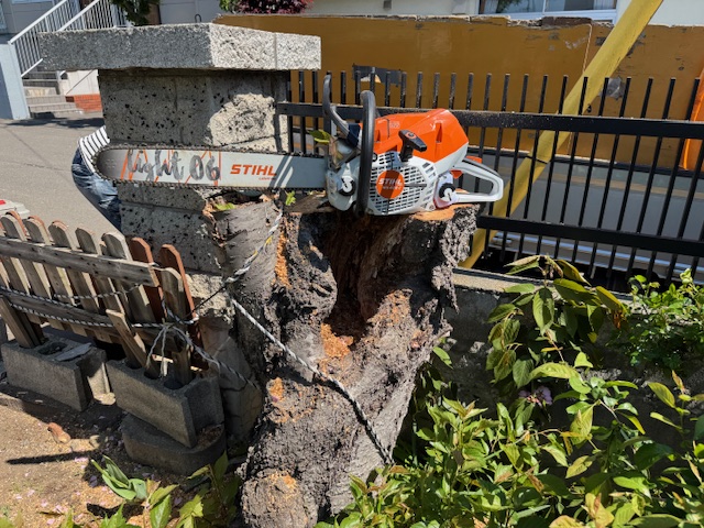 Orange Stihl chainsaw resting on a fractured concrete pillar in an outdoor fenced area.