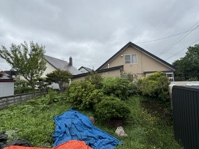 Suburban backyard with dense shrubs and a blue tarp on the ground in front of a beige house under a cloudy sky.