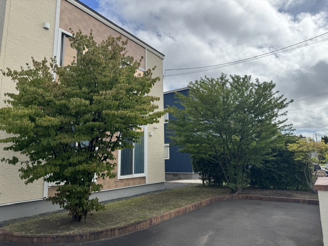 Two green trees in front of a beige and blue building, with a brick-edged planter and paved driveway.